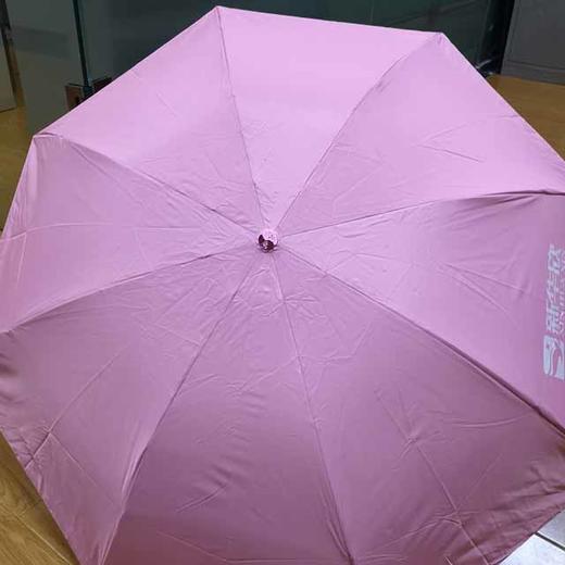 新华欣天堂伞（1把） 商品图0