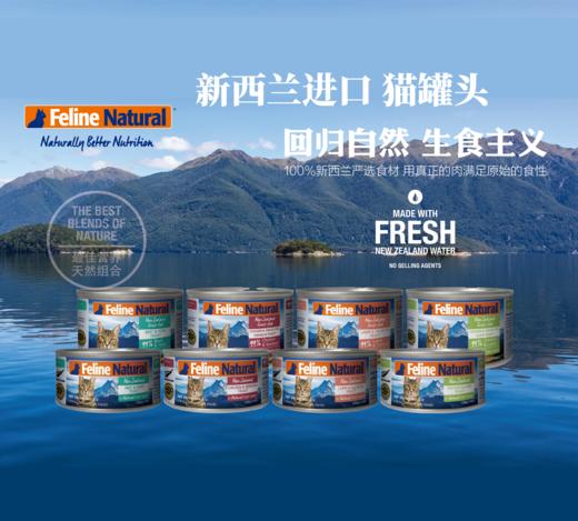 新西兰K9 Feline Natural 天然无谷主食猫罐 85g/170g 商品图4
