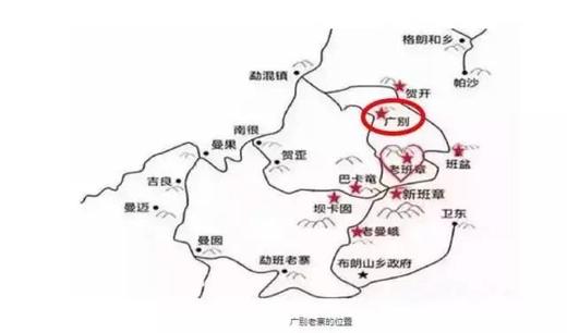 【广别】口感丰富，变化多端，以“妖”闻名的古树茶，甜柔之下，霸道内劲 商品图5