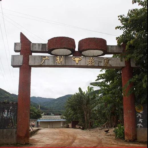 【广别】口感丰富，变化多端，以“妖”闻名的古树茶，甜柔之下，霸道内劲 商品图6