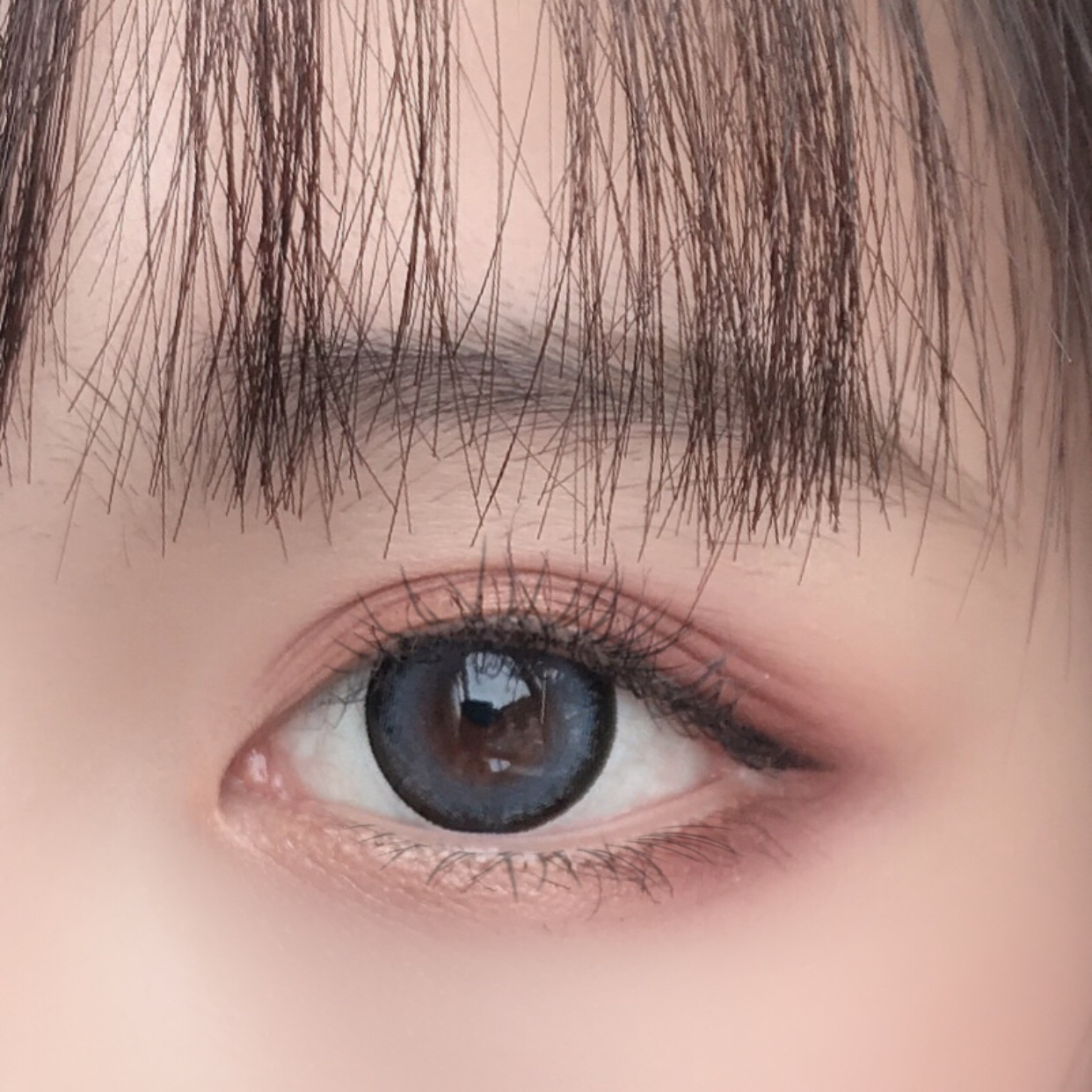 doragina圣鹿甜棕灰硅水美瞳