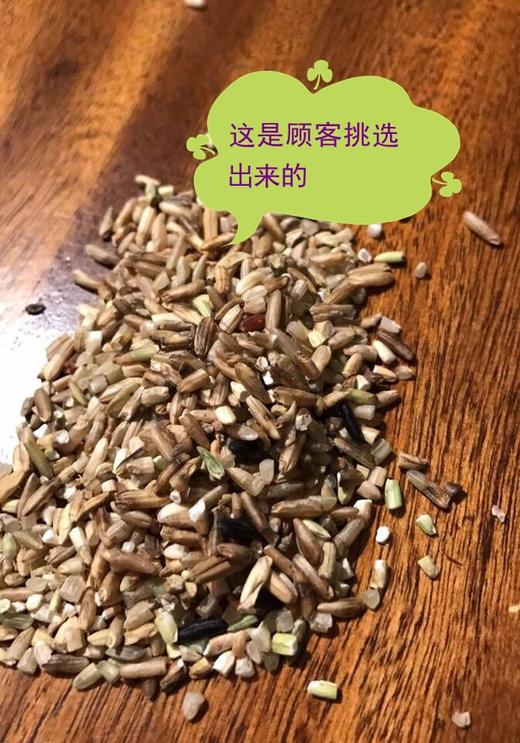 熬糙米汤 煮米饭  晚稻糙米 冬季米 稻谷米 大米 商品图3