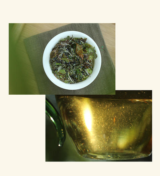 留根、坐杯、闷泡，你真的理解吗？ 商品图0