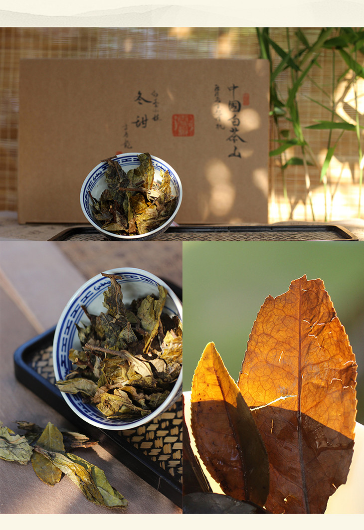 白茶山方守龙2018年冬甜大叶冬茶福鼎白茶太姥山自然