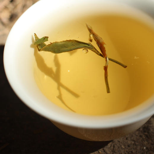 第09问：方守龙茶转化比较快是工艺的原因吗？ 商品图0