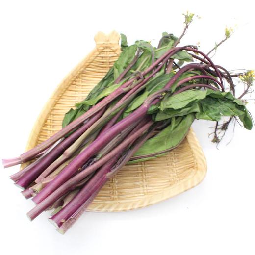 自产/有机红菜苔 商品图0