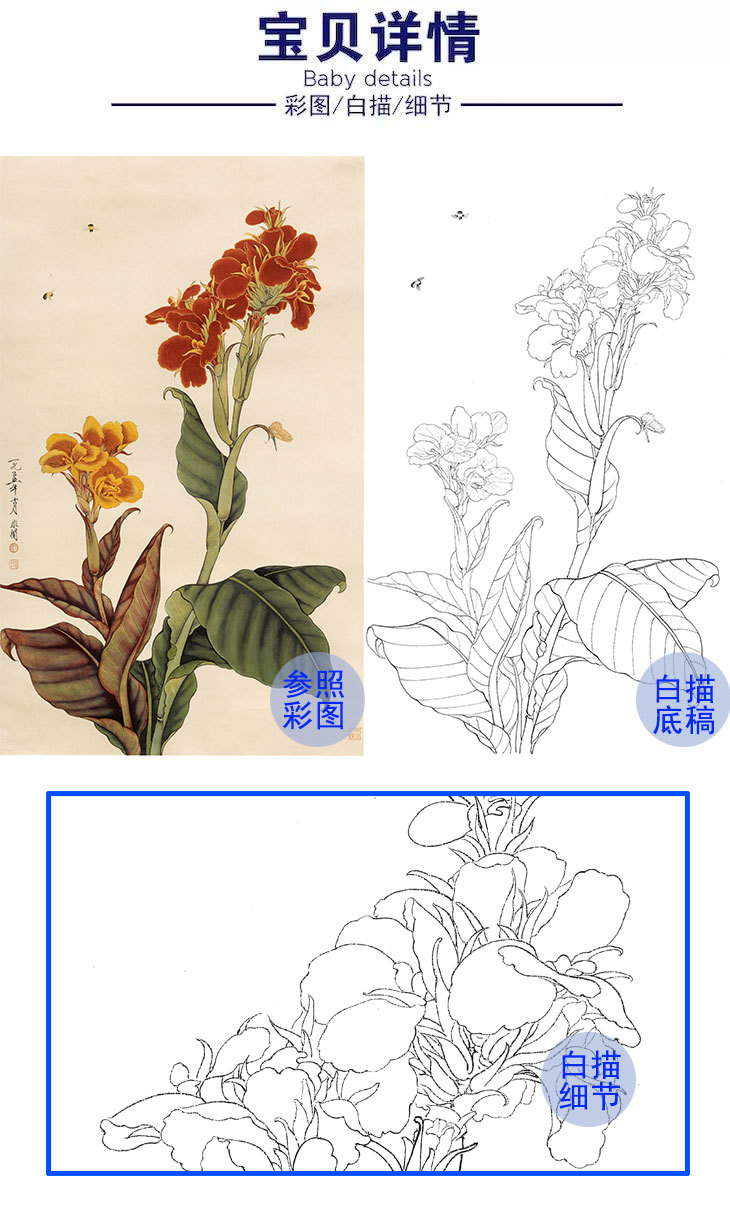 于非闇竖幅工笔花鸟白描底稿美人蕉多种白描尺寸可选yf32