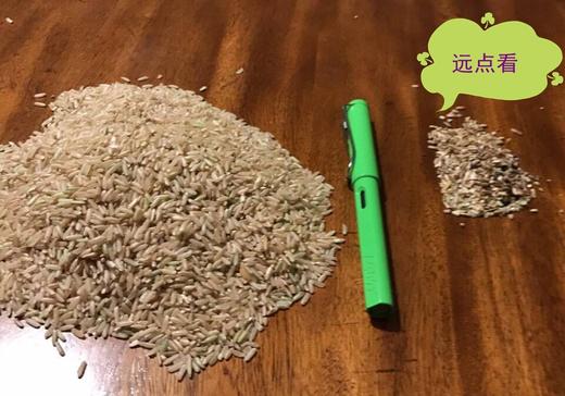 熬糙米汤 煮米饭  晚稻糙米 冬季米 稻谷米 大米 商品图4