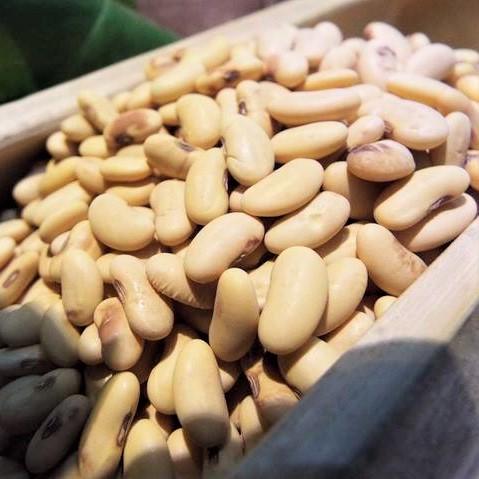生态黄豆 | 老品种 | 公平贸易 * Eco-friendly Soybeans 商品图1