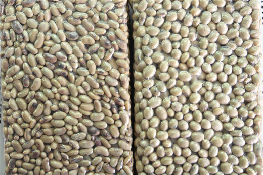 生态黄豆 | 老品种 | 公平贸易 * Eco-friendly Soybeans 商品图2