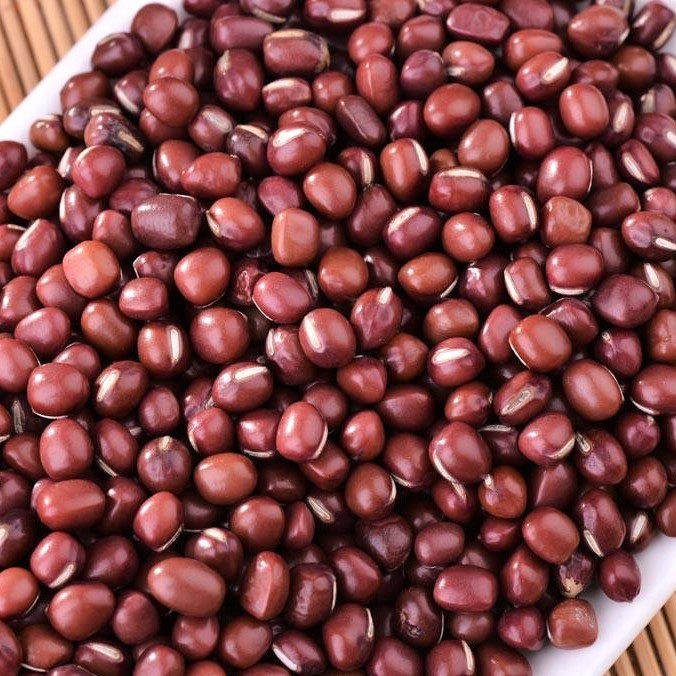 红豆老品种公平贸易redbeansfairtrade