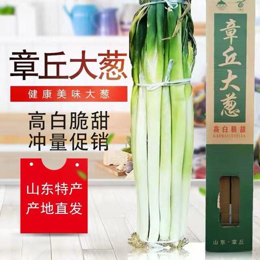 章丘大葱正宗章丘葱新鲜蔬菜10斤礼盒装 商品图2