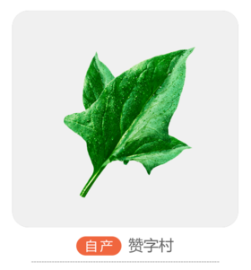 赞字村菠菜