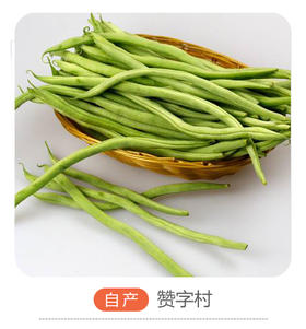 赞字村架豆角