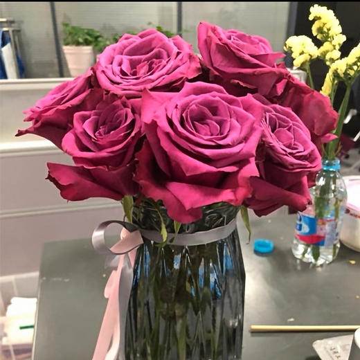 国产单头蓝莓玫瑰10支 商品图2