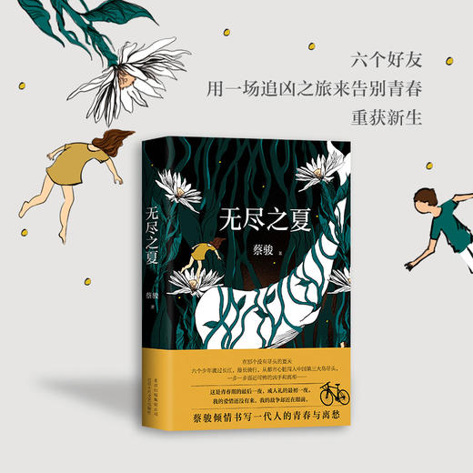 无尽之夏 蔡骏 六个好友用一场追凶之旅来告别青春 中国悬疑之父华丽转身的文学新作 悬疑作家蔡骏倾情书写一代人的年少和离愁 商品图0