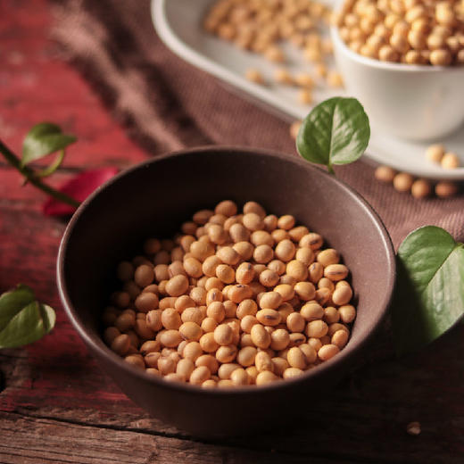 涡阳黄豆380g*2大罐 | 好产地种出的好黄豆。#豆浆香醇煲汤软糯# 商品图5