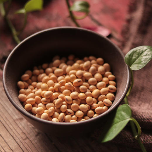 涡阳黄豆380g*2大罐 | 好产地种出的好黄豆。#豆浆香醇煲汤软糯# 商品图0