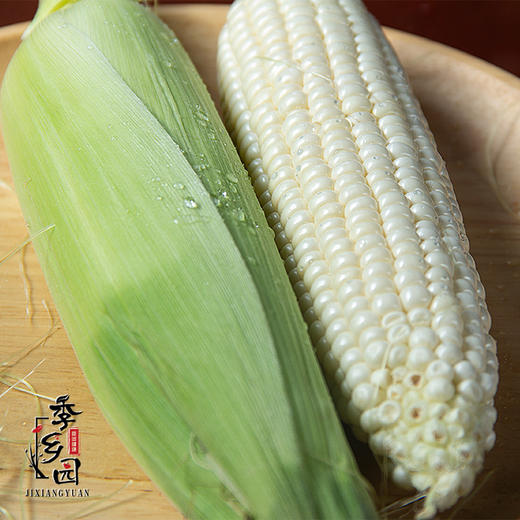 季乡园牛奶冰糖水果玉米一口爆汁18甜非转基因