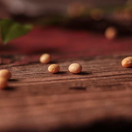 涡阳黄豆380g*2大罐 | 好产地种出的好黄豆。#豆浆香醇煲汤软糯# 商品图4