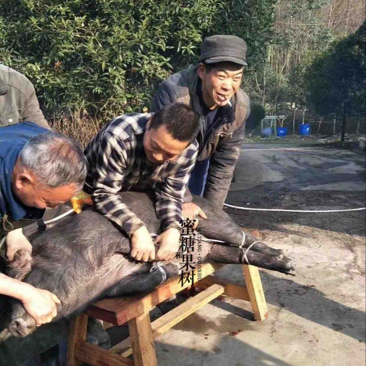 【2025新三批】香肠、腊肉。【19号截单，26号发货】【猪肉质超级好】【纯手工制作】【自己吃送人都是棒棒哒】