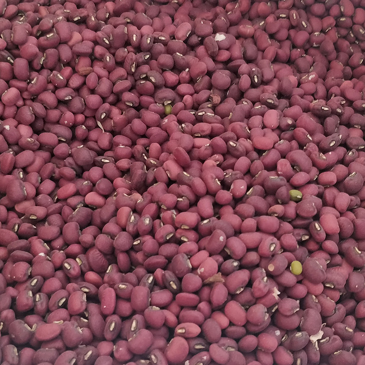 刘拴小家紫豇豆1kg5kg起售