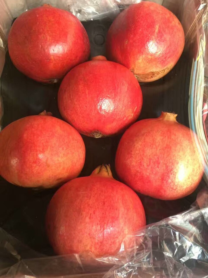 伊朗进口大红宝石石榴单果净重750g800g