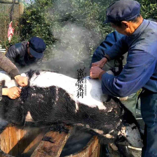【2025新三批】香肠、腊肉。【19号截单，26号发货】【猪肉质超级好】【纯手工制作】【自己吃送人都是棒棒哒】 商品图1