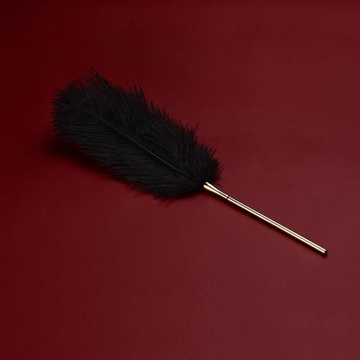 UPKO及时行乐特别版礼盒羽毛棒情趣tiao情套装捆绑束缚真丝眼罩情趣成人用品 商品图6