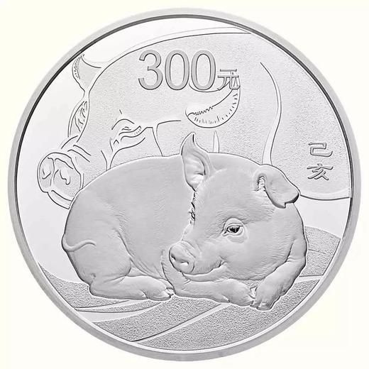 【新品现货】2019猪年生肖1公斤银币 商品图0