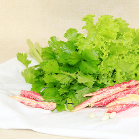 鸿翠园 有机绿叶生菜