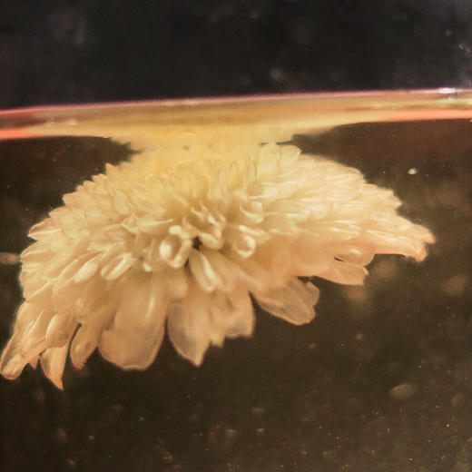 *自营*菊花30g*2大罐。安徽亳州源产区千亩种植七月徽菊。 商品图5