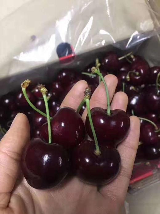 车厘子 商品图1