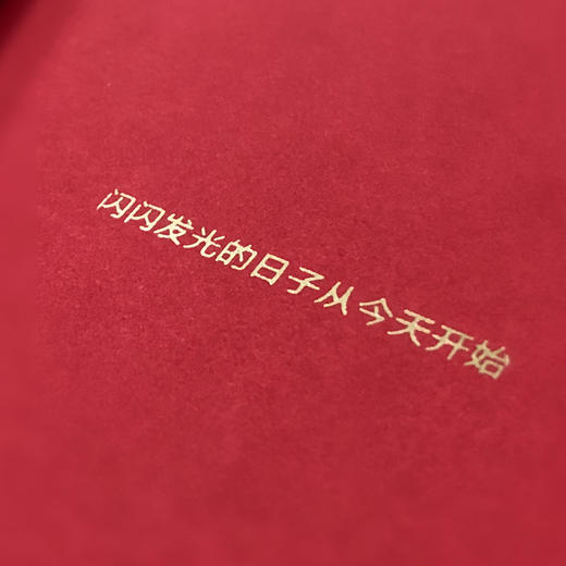 2019【每天有赞】手帐 商品图4