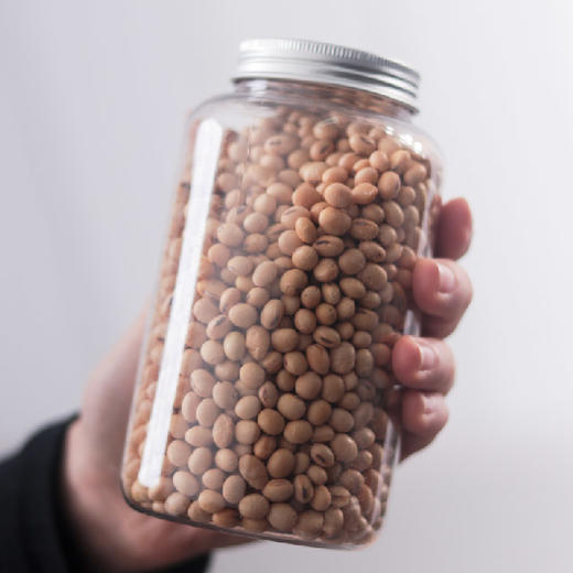 涡阳黄豆380g*2大罐 | 好产地种出的好黄豆。#豆浆香醇煲汤软糯# 商品图2