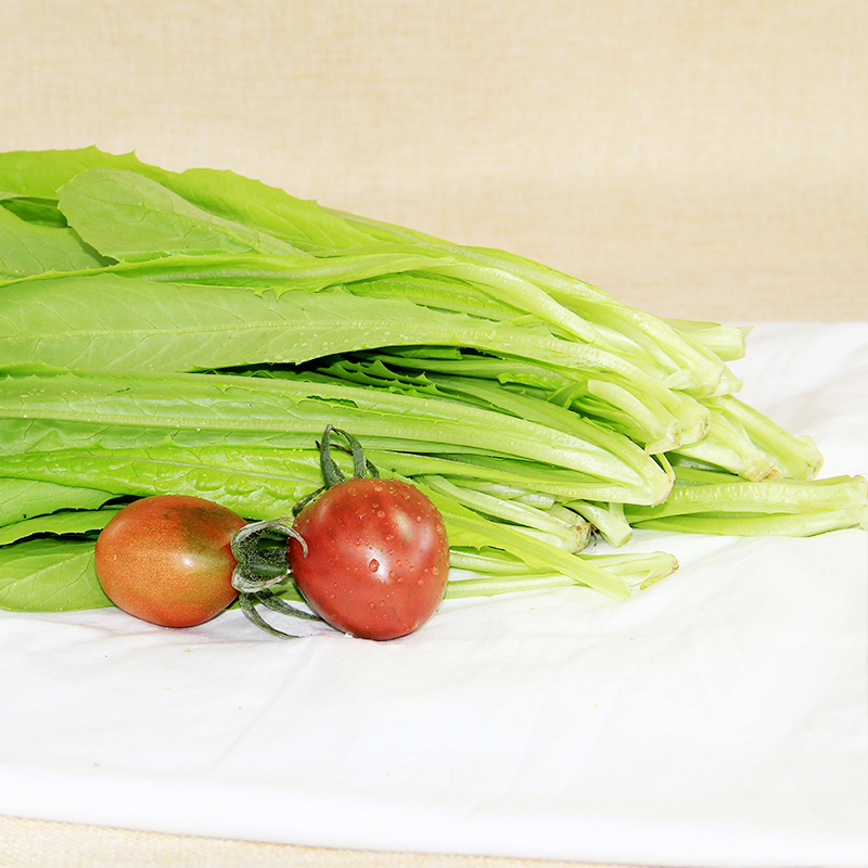 鸿翠园 有机油麦菜
