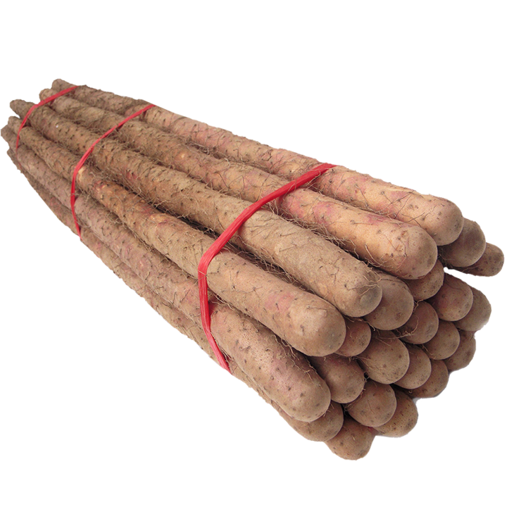 河南沙土长山药铁棍山药一份蔬菜