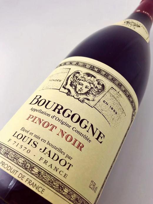 路易亚都世家勃艮第黑比诺法定产区干红葡萄酒louisjadotbourgoge