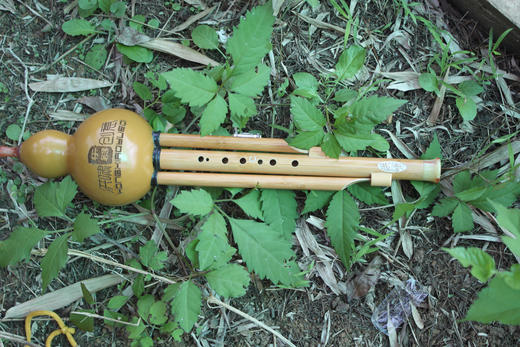葫芦丝 经典款 楠竹八孔改良款 商品图0