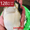 【10号提货】海上补品 饶平大蚝花  蚝肉  约2斤 商品缩略图0