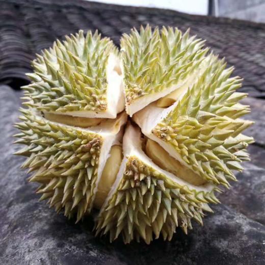泰国野山猫榴莲新鲜带壳水果软糯香甜肉质细腻34斤包邮