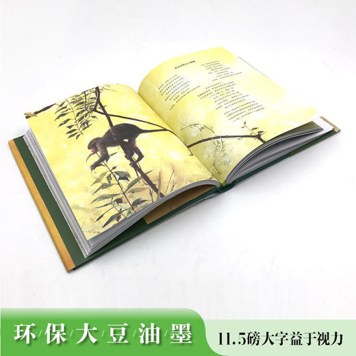 名著名译名绘版 丛林故事 商品图4