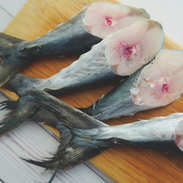 赠品鲅鱼尾500g丨渤海湾远洋深海捕捞