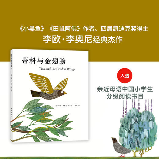 蒂科与金翅膀 商品图1