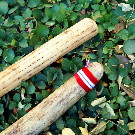 宫徵社德瑞terre雨棍