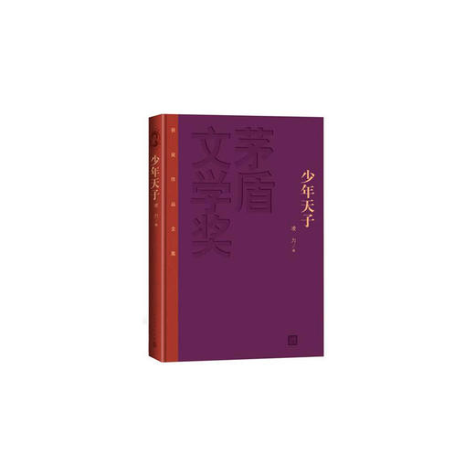 少年天子 商品图0