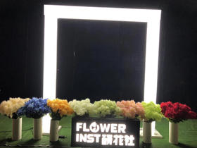 亚克力发光拱门【运费自理】