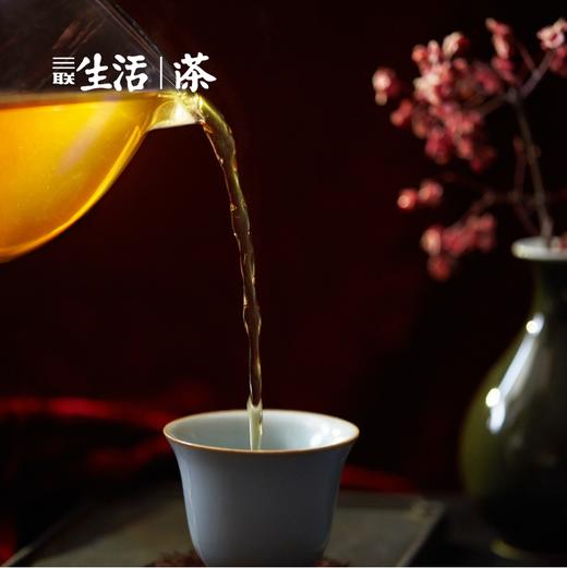 大红袍 · 武夷岩茶  91g（年份2018） 商品图5