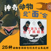 【詹金斯作品专场满49包邮】大熊猫为什么长了黑眼圈 商品缩略图2