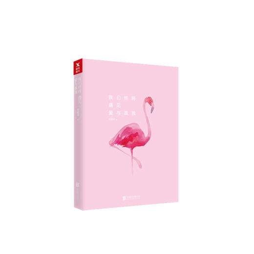 德芬老师书籍《我们终将遇见爱与孤独》 商品图1